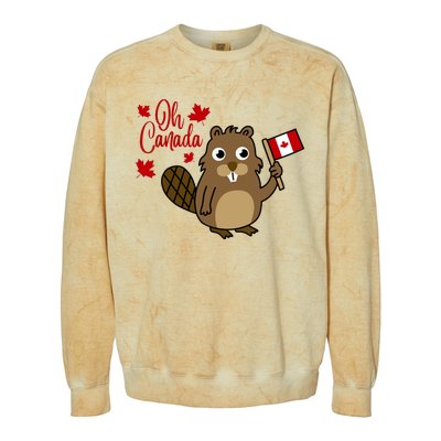 Happy Canada Day Funny Canadian Groundhog Flag Colorblast Crewneck Sweatshirt