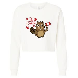 Happy Canada Day Funny Canadian Groundhog Flag Cropped Pullover Crew