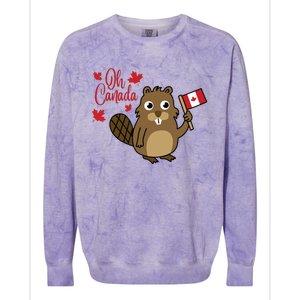 Happy Canada Day Shirts Funny Canadian Groundhog Flag Colorblast Crewneck Sweatshirt