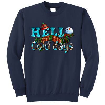 Hello Cold Days With Snowman Christmas Matching Family Gifts Sweatshirt