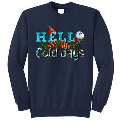 Hello Cold Days With Snowman Christmas Matching Family Gifts Tall Sweatshirt