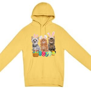 Hree Cat Easter Day Cats Kitten Gift Premium Pullover Hoodie