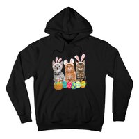 Hree Cat Easter Day Cats Kitten Gift Hoodie