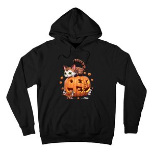 Halloween Cats Funny Cat Hoodie