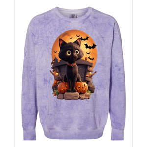 Halloween Cats Funny Cat Halloween Colorblast Crewneck Sweatshirt