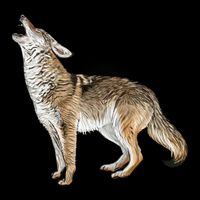 Howling Coyote Funny Coyote Hunting 16oz Travel Tumbler