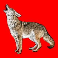 Howling Coyote Funny Coyote Hunting Golf Towel