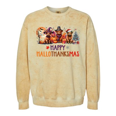 Highland Cow Halloween Christmas Thanksgiving Hallothanksmas Colorblast Crewneck Sweatshirt