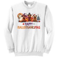 Highland Cow Halloween Christmas Thanksgiving Hallothanksmas Sweatshirt