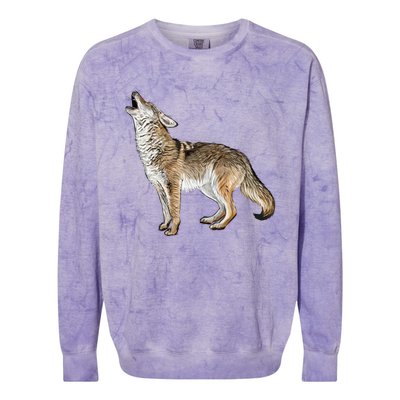 Howling Coyote Colorblast Crewneck Sweatshirt