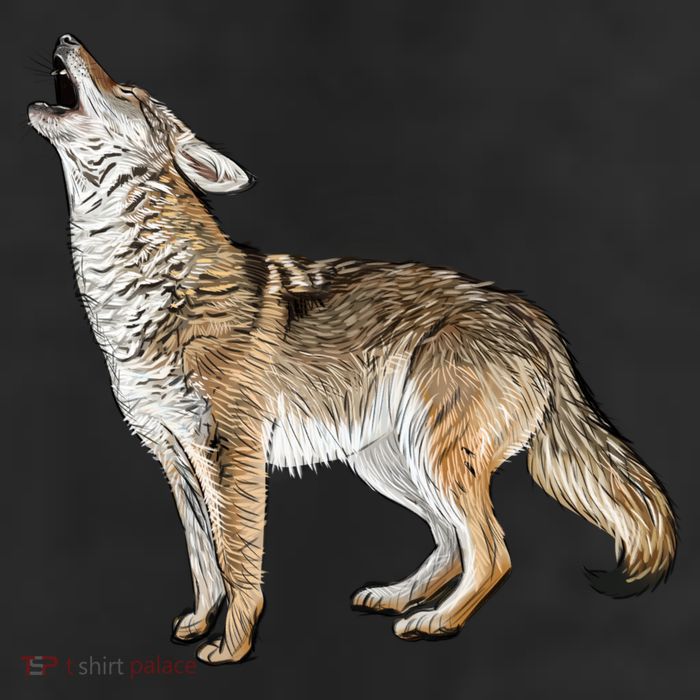Howling Coyote Garment-Dyed Fleece Hoodie