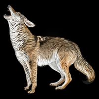 Howling Coyote Mug