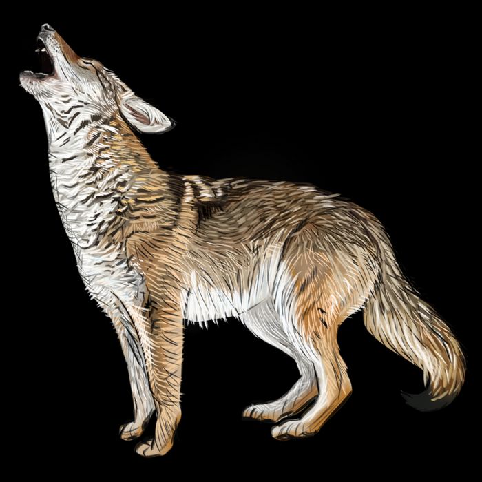 Howling Coyote Mug