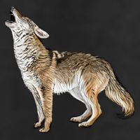 Howling Coyote 15oz Campfire Ceramic Mug
