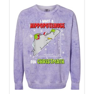 Hippopotamus Christmath Colorblast Crewneck Sweatshirt