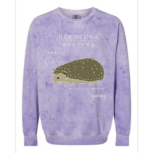 Hedgehog Cute Hedgehogs Colorblast Crewneck Sweatshirt