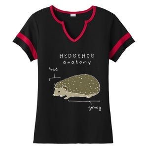 Hedgehog Cute Hedgehogs Ladies Halftime Notch Neck Tee