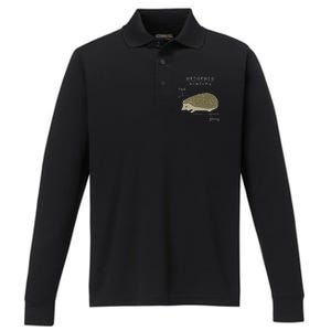 Hedgehog Cute Hedgehogs Performance Long Sleeve Polo