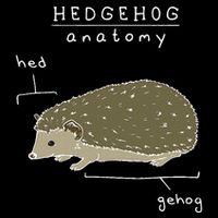 Hedgehog Cute Hedgehogs Cooling Performance Crew T-Shirt