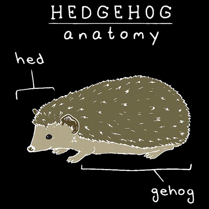 Hedgehog Cute Hedgehogs Cooling Performance Crew T-Shirt