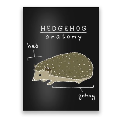 Hedgehog Cute Hedgehogs Poster