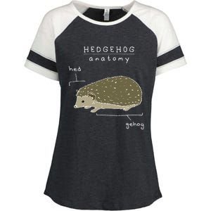 Hedgehog Cute Hedgehogs Enza Ladies Jersey Colorblock Tee