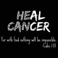 He Can Heal Cancer Christian / Zebra Print Rare Cancers Flexfit Unipanel Trucker Cap