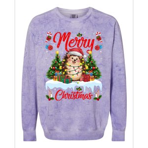 Hedgehog Christmas Hedgehog Xmas Tree Lighting Santa Hat Colorblast Crewneck Sweatshirt