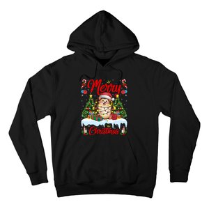 Hedgehog Christmas Hedgehog Xmas Tree Lighting Santa Hat Hoodie