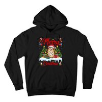 Hedgehog Christmas Hedgehog Xmas Tree Lighting Santa Hat Hoodie