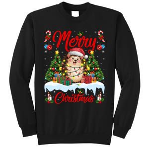 Hedgehog Christmas Hedgehog Xmas Tree Lighting Santa Hat Sweatshirt