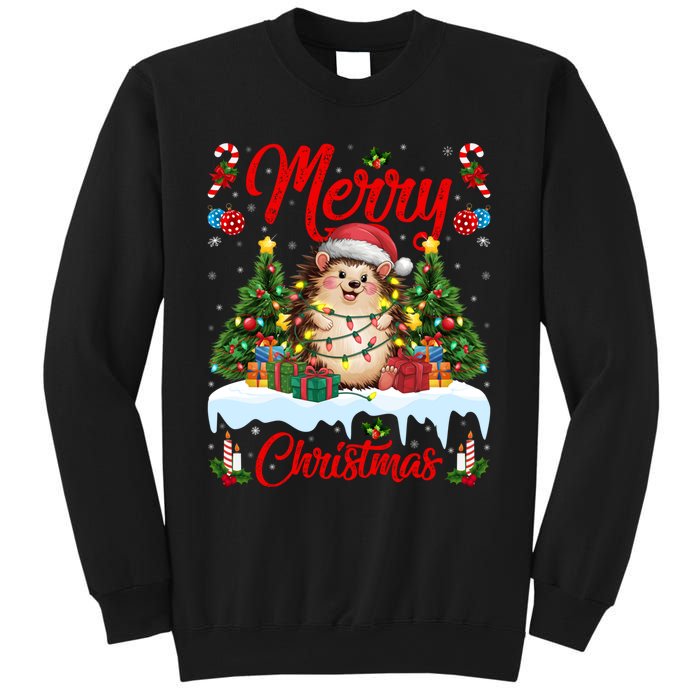 Hedgehog Christmas Hedgehog Xmas Tree Lighting Santa Hat Sweatshirt