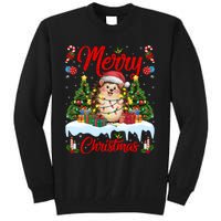 Hedgehog Christmas Hedgehog Xmas Tree Lighting Santa Hat Tall Sweatshirt