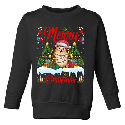 Hedgehog Christmas Hedgehog Xmas Tree Lighting Santa Hat Toddler Sweatshirt