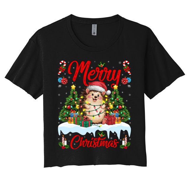 Hedgehog Christmas Hedgehog Xmas Tree Lighting Santa Hat Crop Top