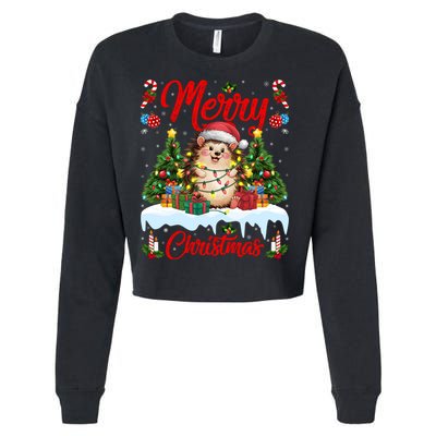 Hedgehog Christmas Hedgehog Xmas Tree Lighting Santa Hat Cropped Pullover Crew