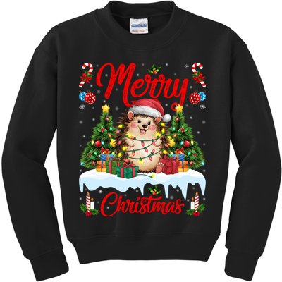 Hedgehog Christmas Hedgehog Xmas Tree Lighting Santa Hat Kids Sweatshirt