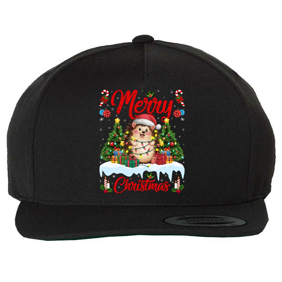 Hedgehog Christmas Hedgehog Xmas Tree Lighting Santa Hat Wool Snapback Cap