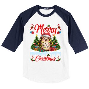 Hedgehog Christmas Hedgehog Xmas Tree Lighting Santa Hat Baseball Sleeve Shirt