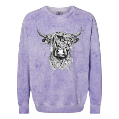 Highland Cow Hand Drawn Illustration Colorblast Crewneck Sweatshirt