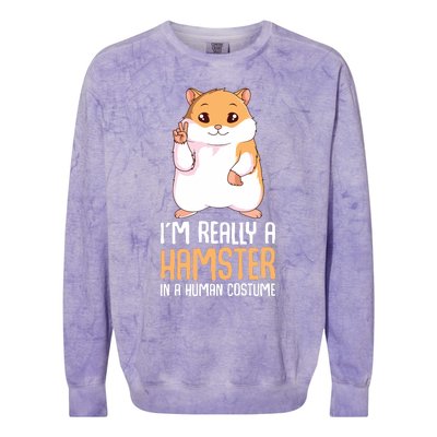 Hamster Costume Hammy Lover Girl Women Colorblast Crewneck Sweatshirt