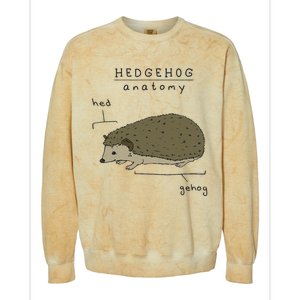 Hedgehog cute Hedgehogs Colorblast Crewneck Sweatshirt