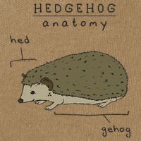 Hedgehog cute Hedgehogs Cotton Canvas Backpack