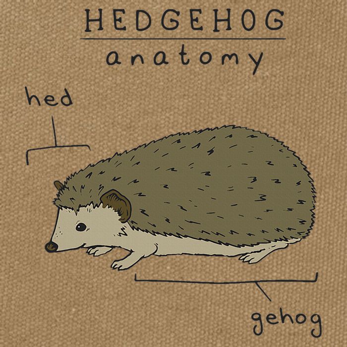Hedgehog cute Hedgehogs Cotton Canvas Backpack