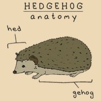 Hedgehog cute Hedgehogs Drawstring Bag