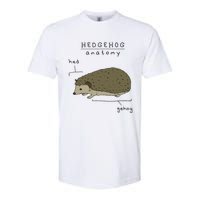 Hedgehog cute Hedgehogs Softstyle CVC T-Shirt