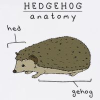 Hedgehog cute Hedgehogs Cooling Performance Crew T-Shirt