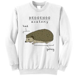 Hedgehog cute Hedgehogs Sweatshirt