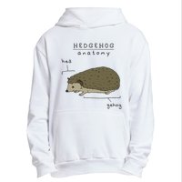 Hedgehog cute Hedgehogs Urban Pullover Hoodie