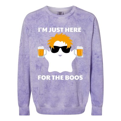 Halloween Costumes Im Just Here For The Boos Ghost Beer Gift Colorblast Crewneck Sweatshirt